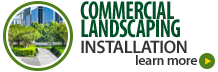 Commercial Landscaping Installation
